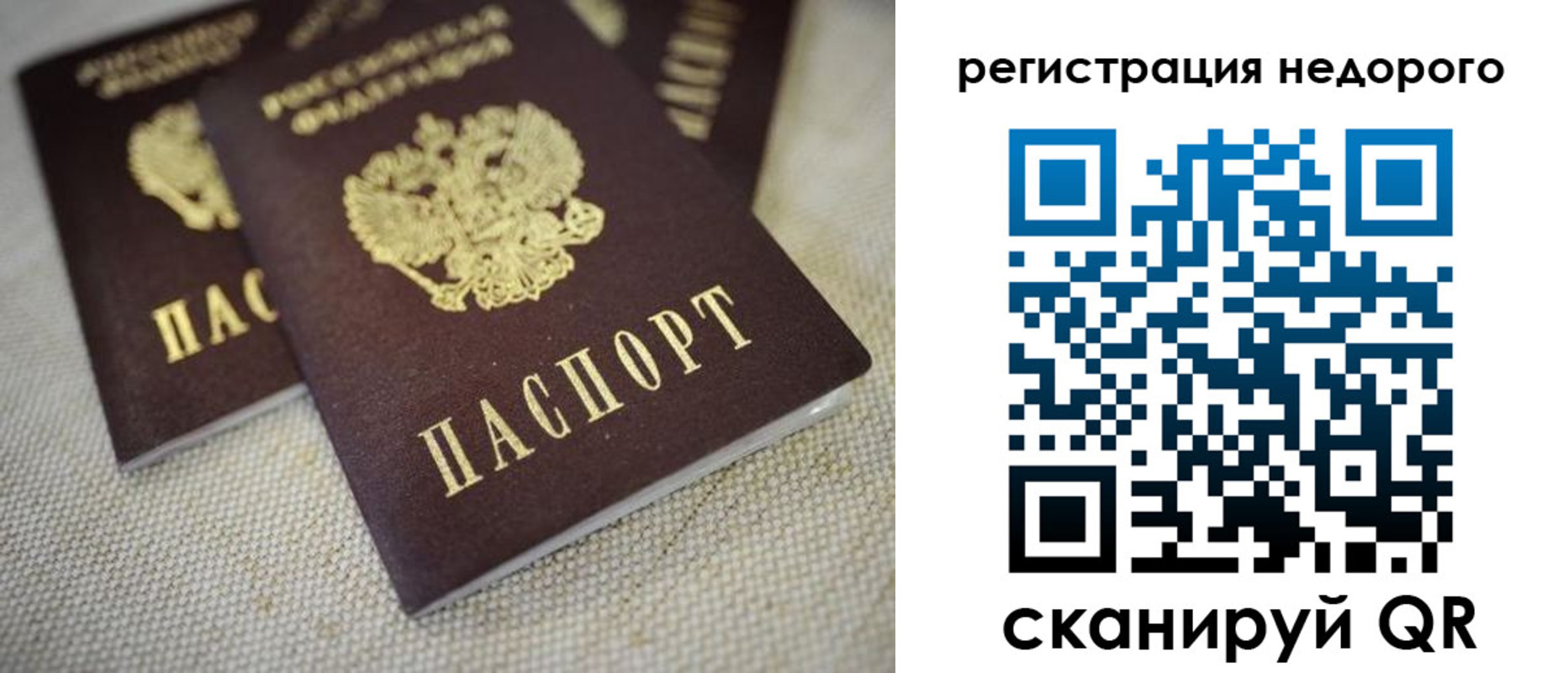 временная регистрация гарантия в Светлом